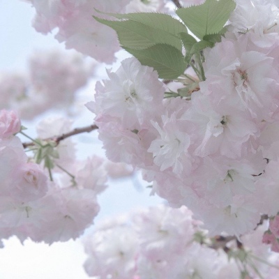 Furry兽设创作灵感福瑞交流群